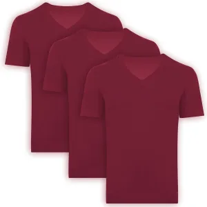 Men's T-Shirts Rayon Made from Bamboo - Modern Fit, Moisture Wicking Undershirt - Crewneck/V-Neck Tees, 3-Pack